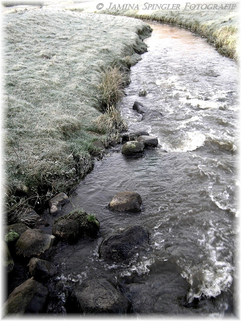 Steine im Fluss