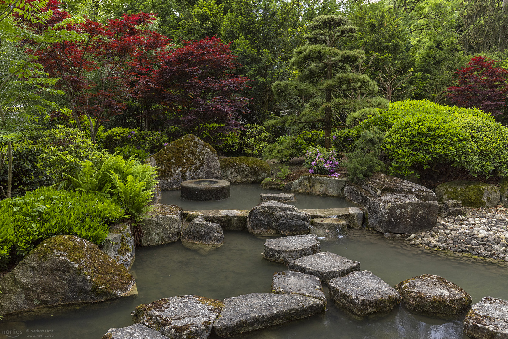 Steine im Japangarten