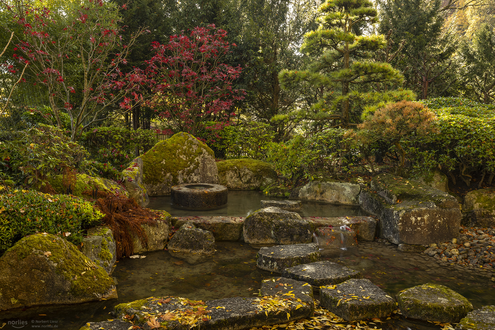 Steine im Japangarten