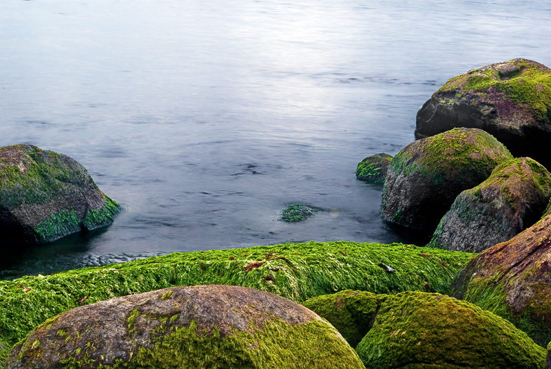 Steine im Meer