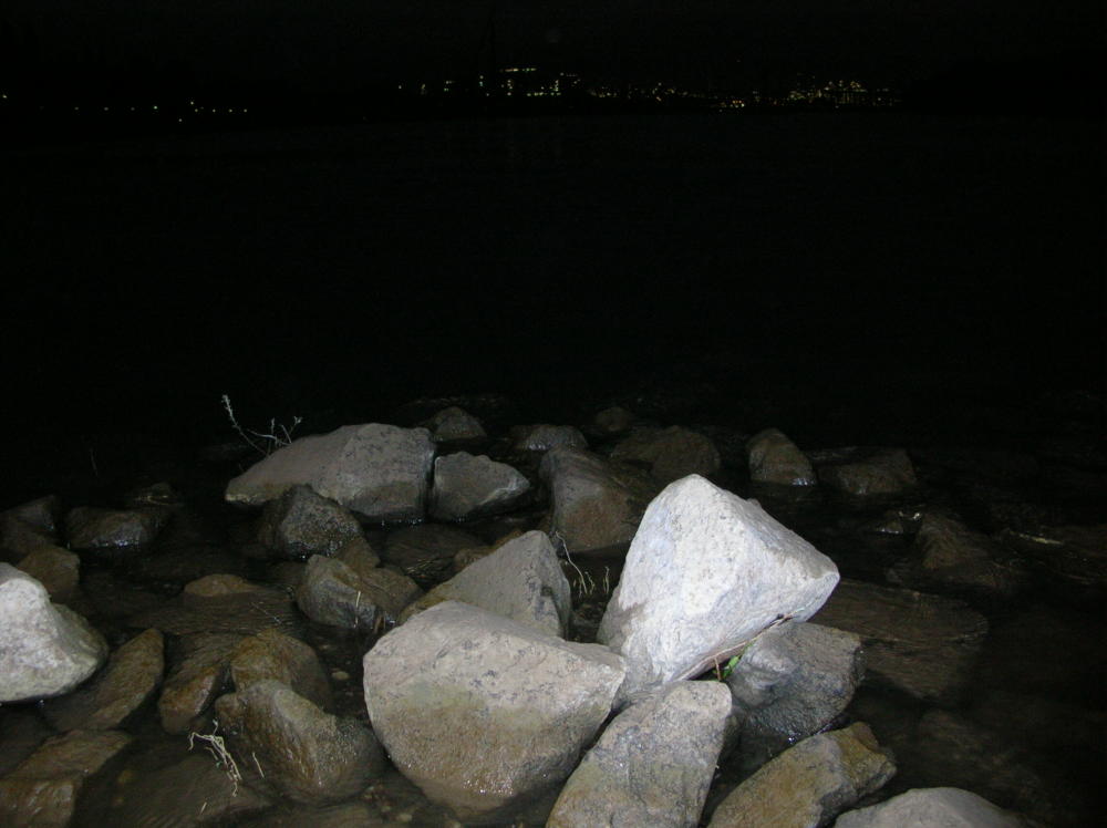 Steine im Rhein bei Nacht