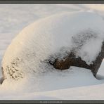 Steine im Schnee II