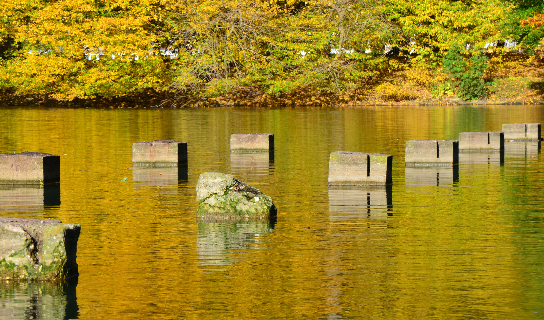 Steine im Wasser