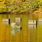 Steine im Wasser