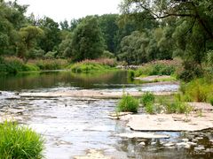 Steine im Wasser