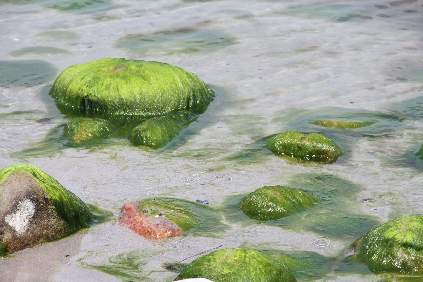 Steine im Wasser