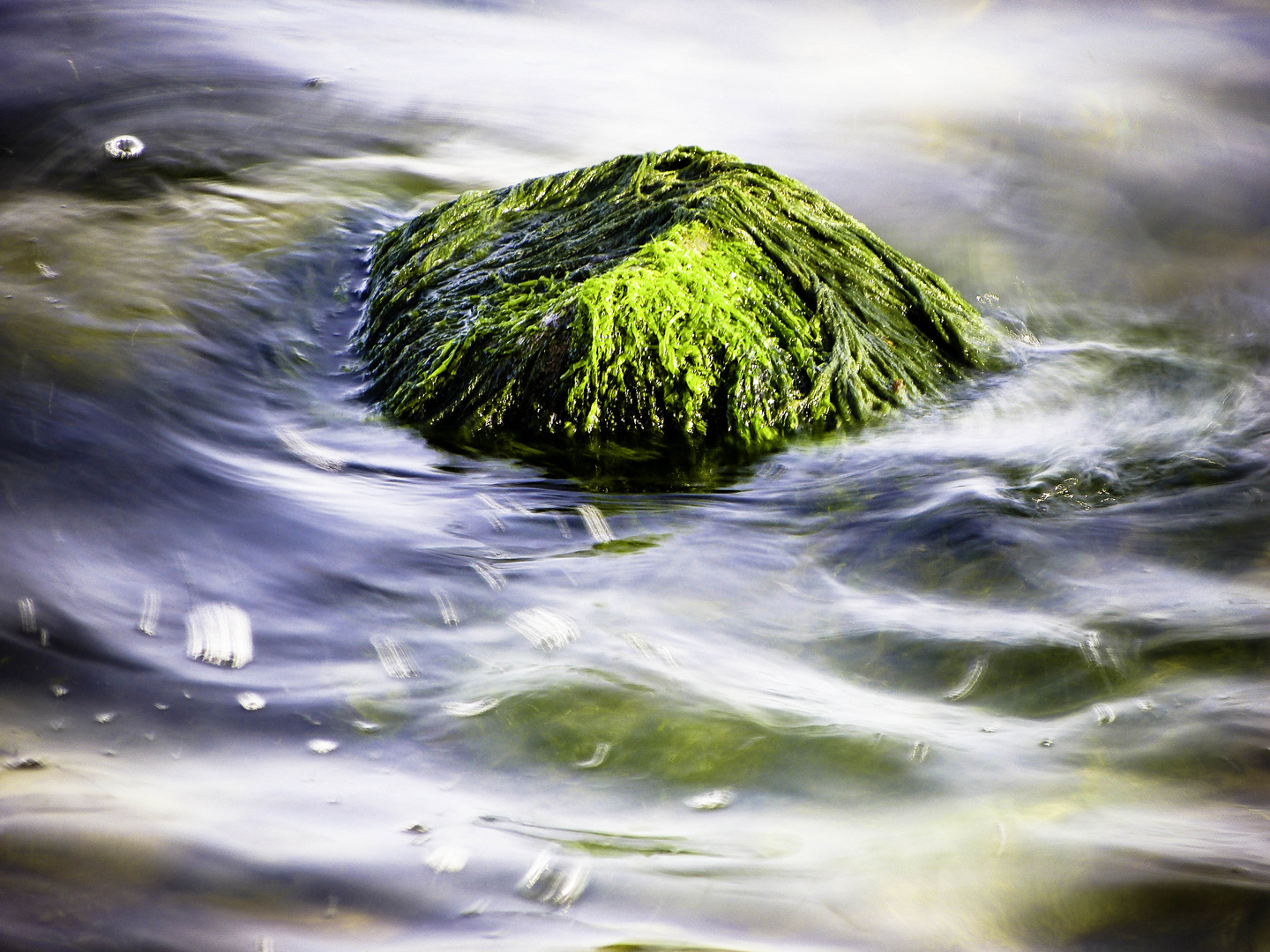 Steine im Wasser