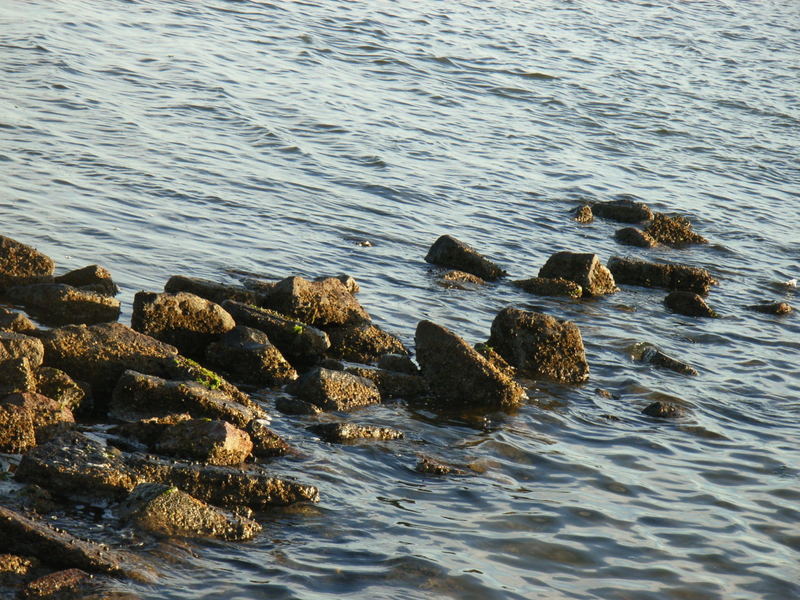 Steine im Wasser