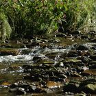 Steine im Wasser