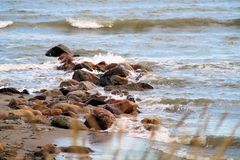 Steine im Wasser