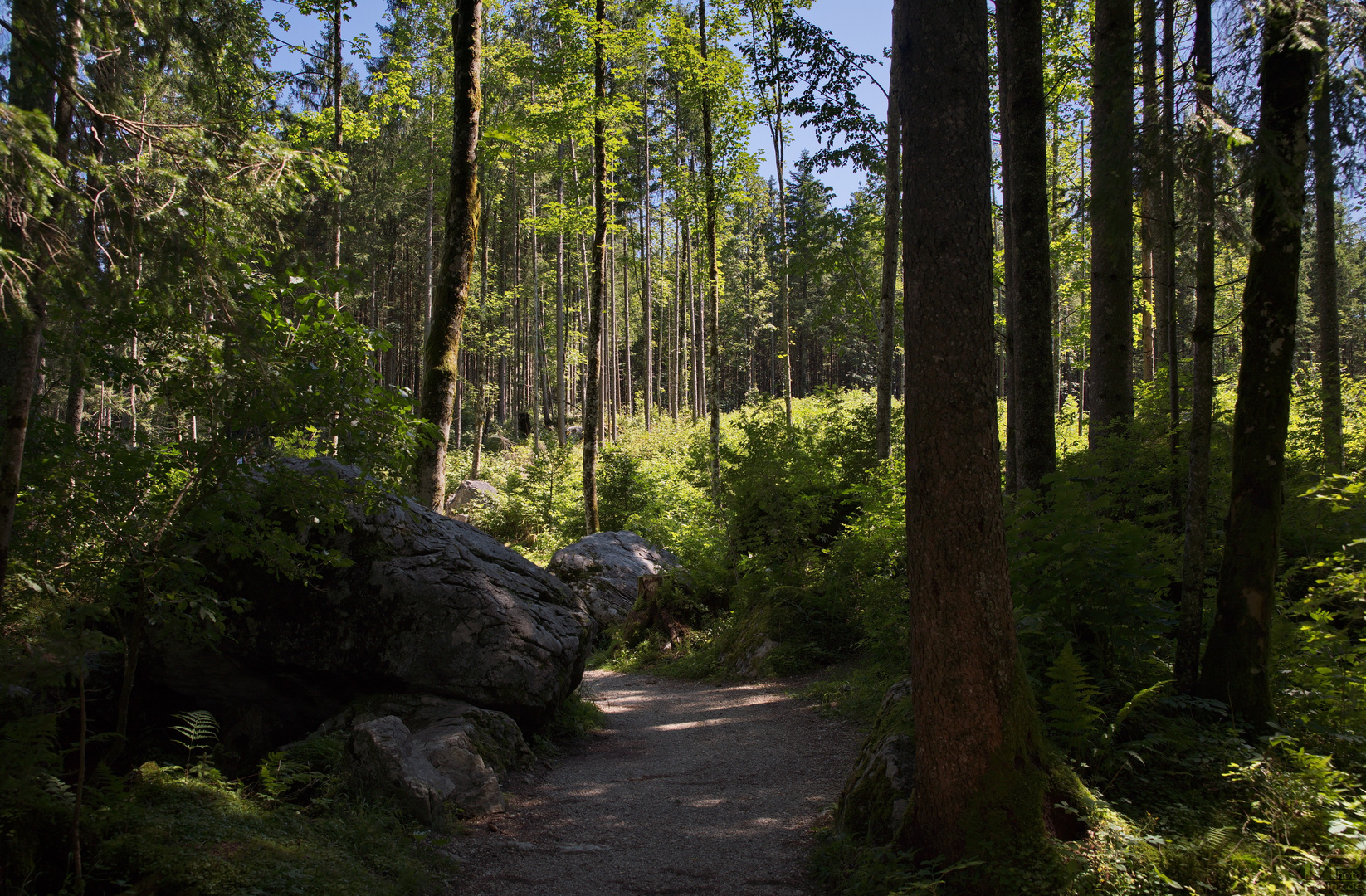 Steine im Weg Foto & Bild world, wald, wasser Bilder auf