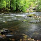 Steine in der Bode