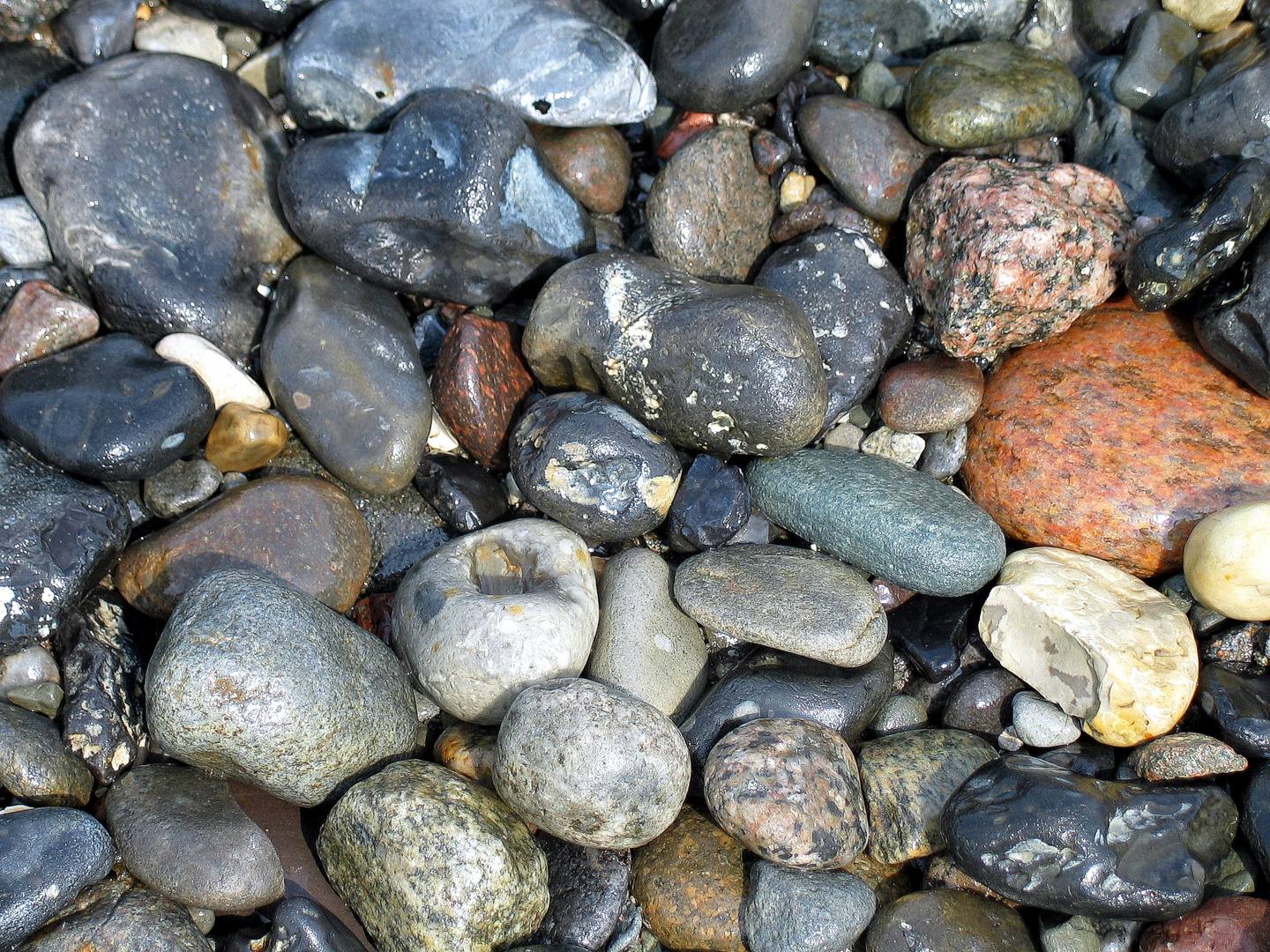 Steine in der Ostsee