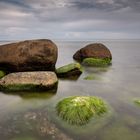 Steine in der Ostsee