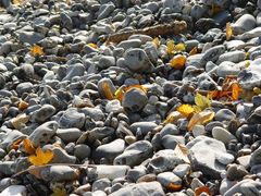 Steine mit Herbstdekor