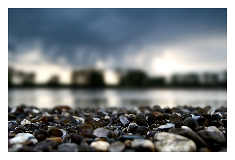 steine, muscheln, wasser, land, ...