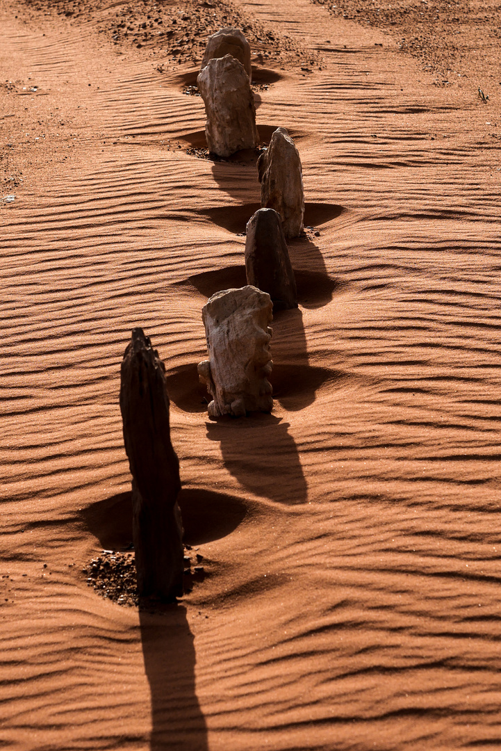 Steine, Sand und Wind 