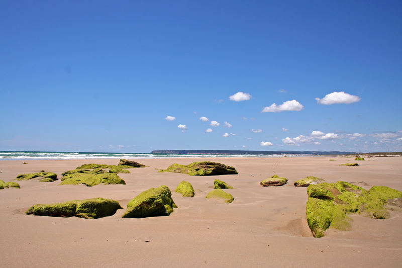 Steine und Meer