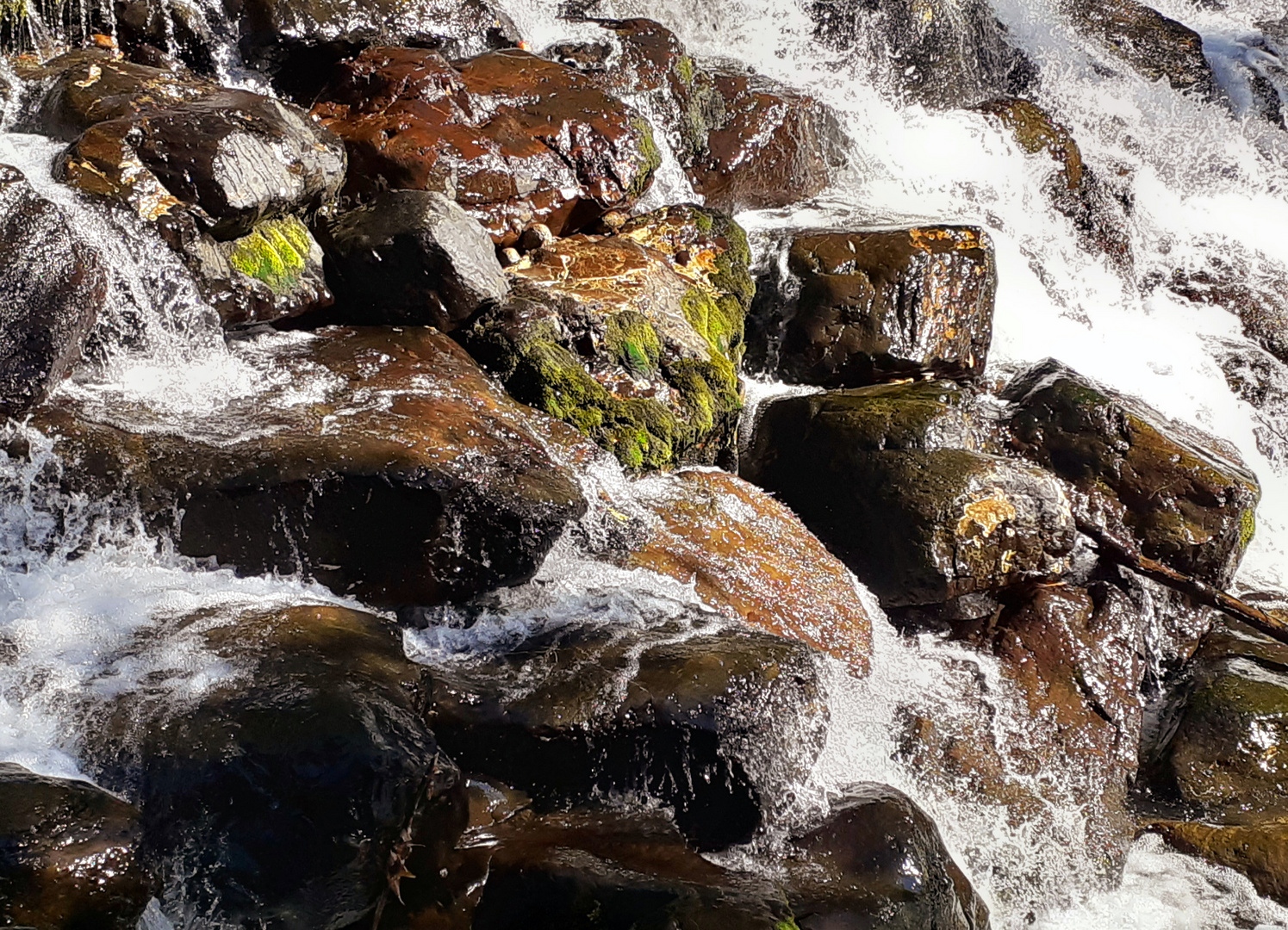 Steine & Wasser