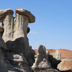 "Steine-Zauberwelt" Bisti Wilderness