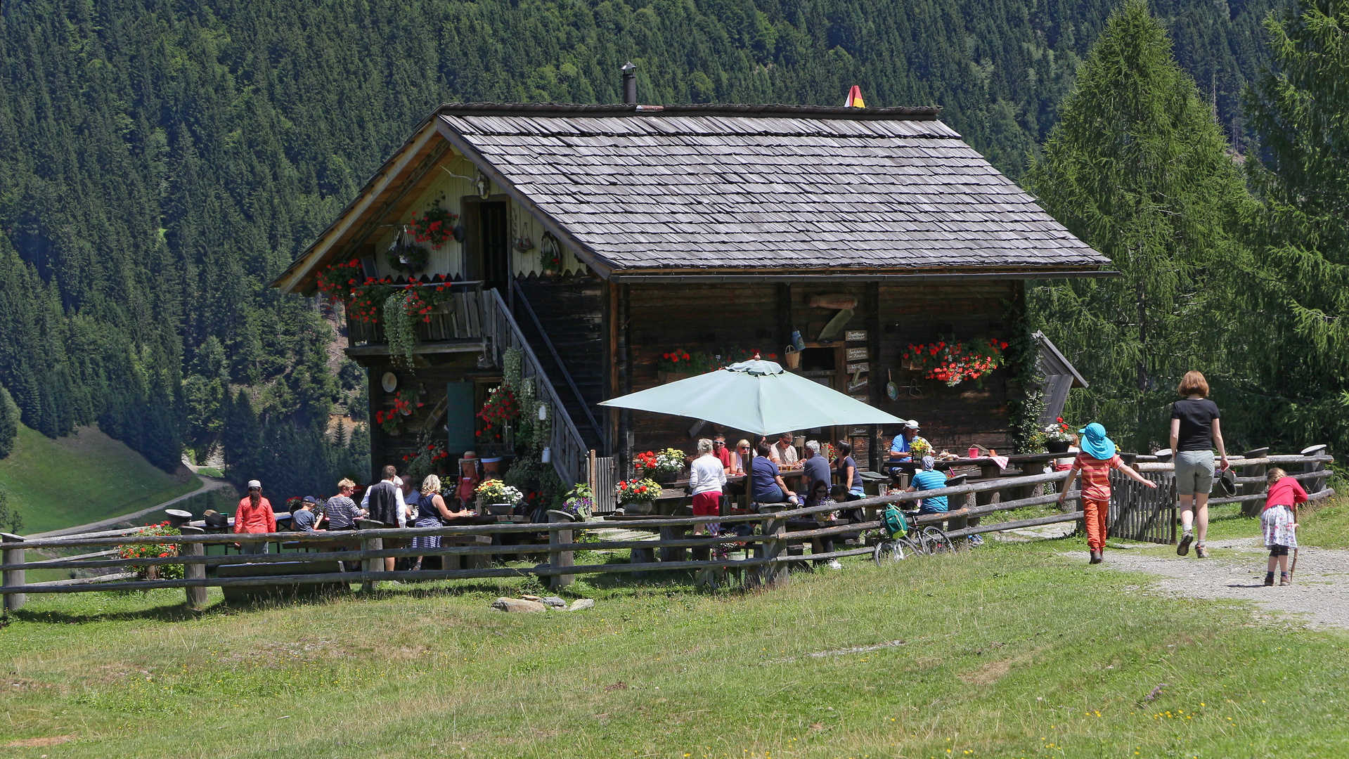 Steineckenalm (2017_07_16_EOS 100D_2401_ji)