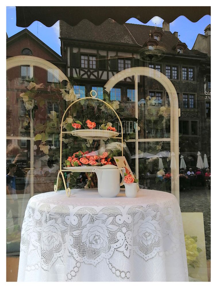 Steiner Schaufenster