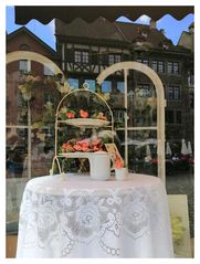 Steiner Schaufenster