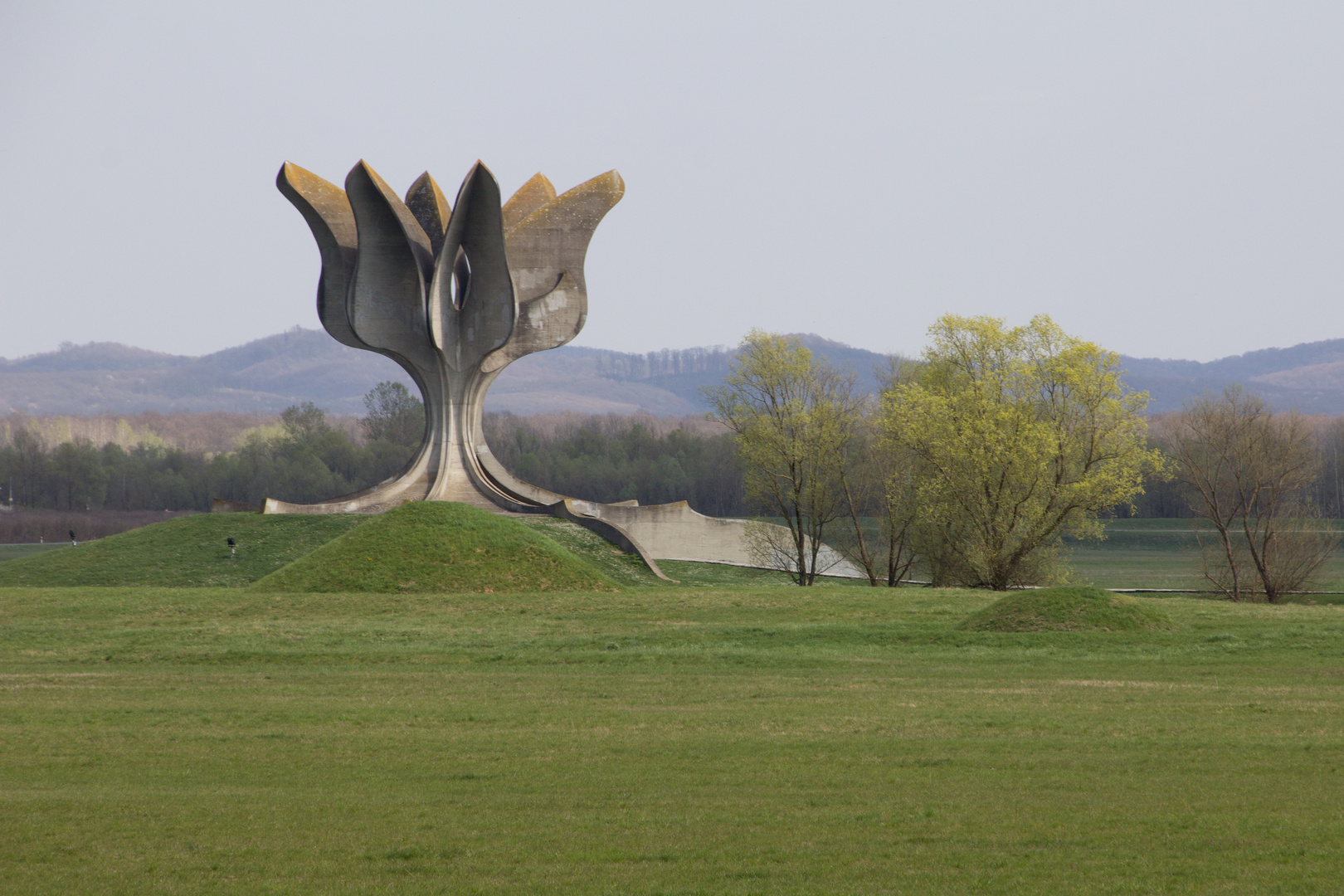 Steinerne Blume