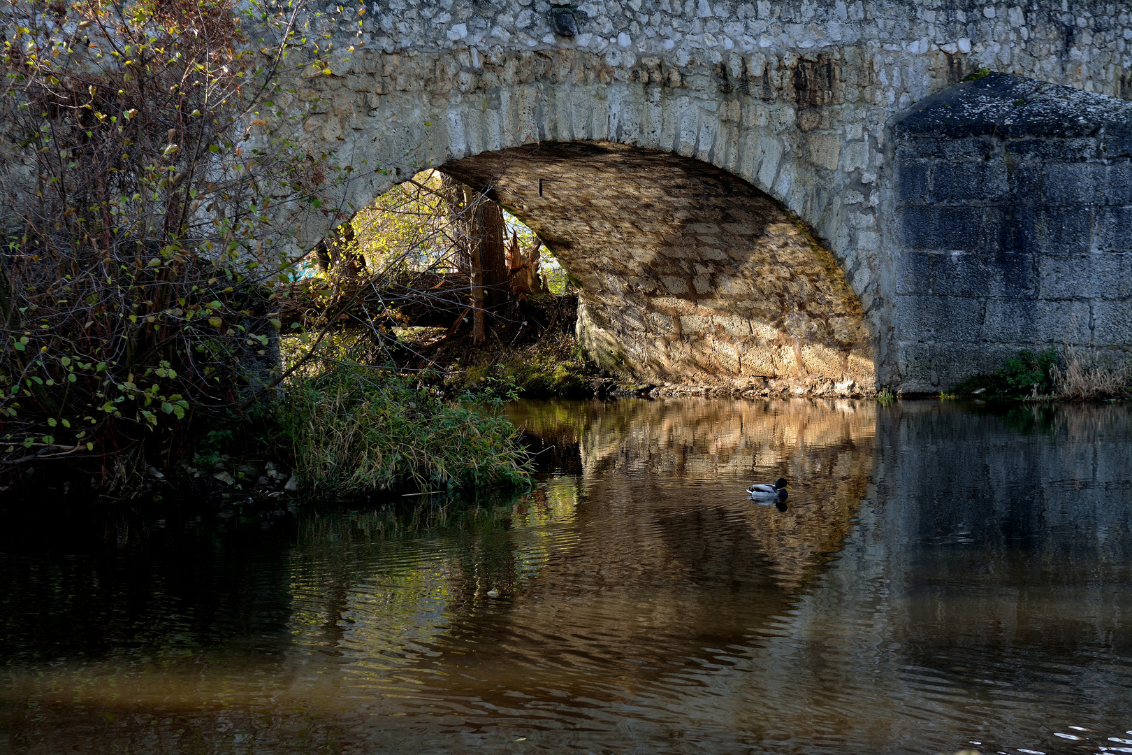 Steinerne Brücke von Kallmünz