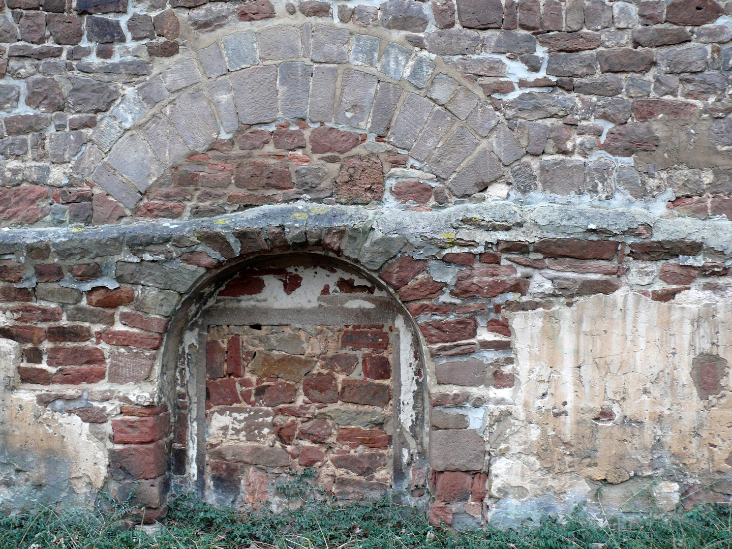 Steinerne Entwicklungsspuren