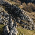 Steinerne Jungfrauen - Demoiselles de pierre