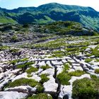 Steinerne Meer bei Lech/Arlberg