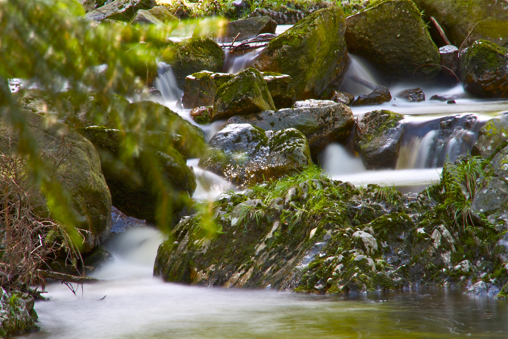 Steinerne Renne im Frühling 2