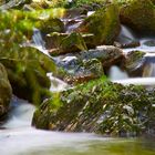 Steinerne Renne im Frühling 2