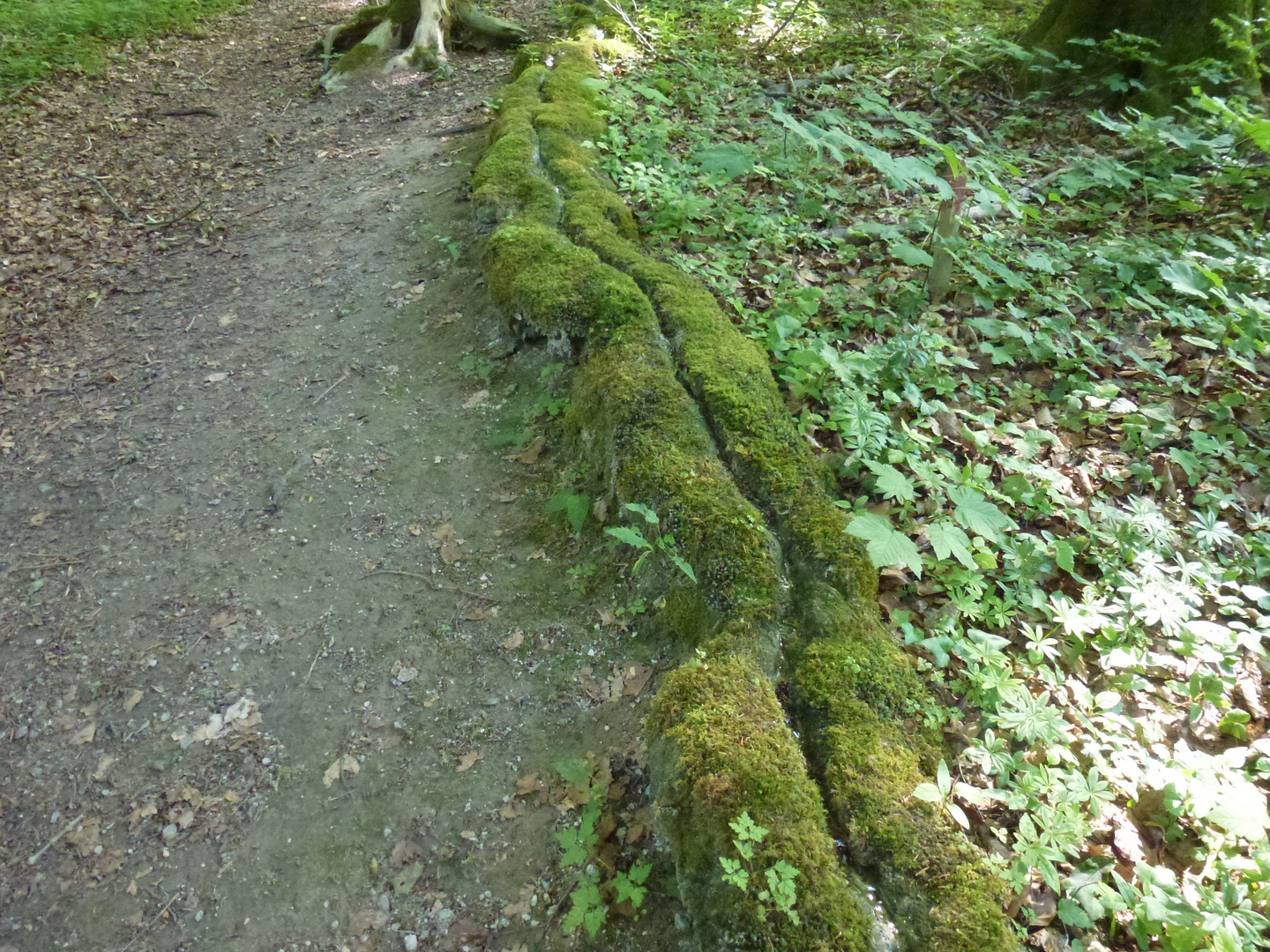 Steinerne Rinne bei Roschlaub