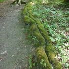 Steinerne Rinne bei Roschlaub