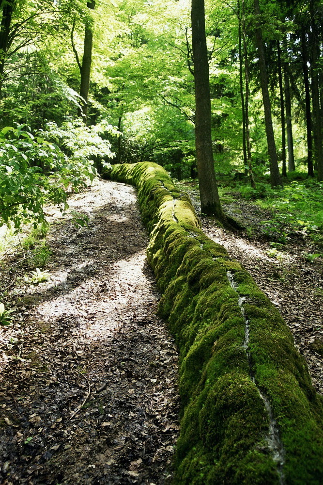 Steinerne Rinne Erasbach