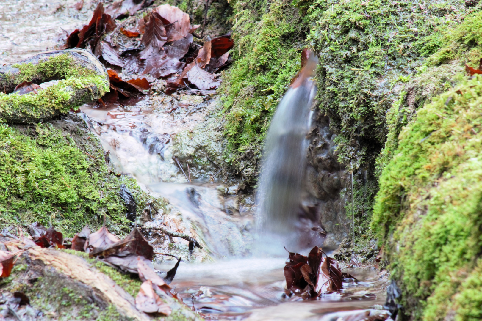 Steinerne Rinne in Erasbach 02