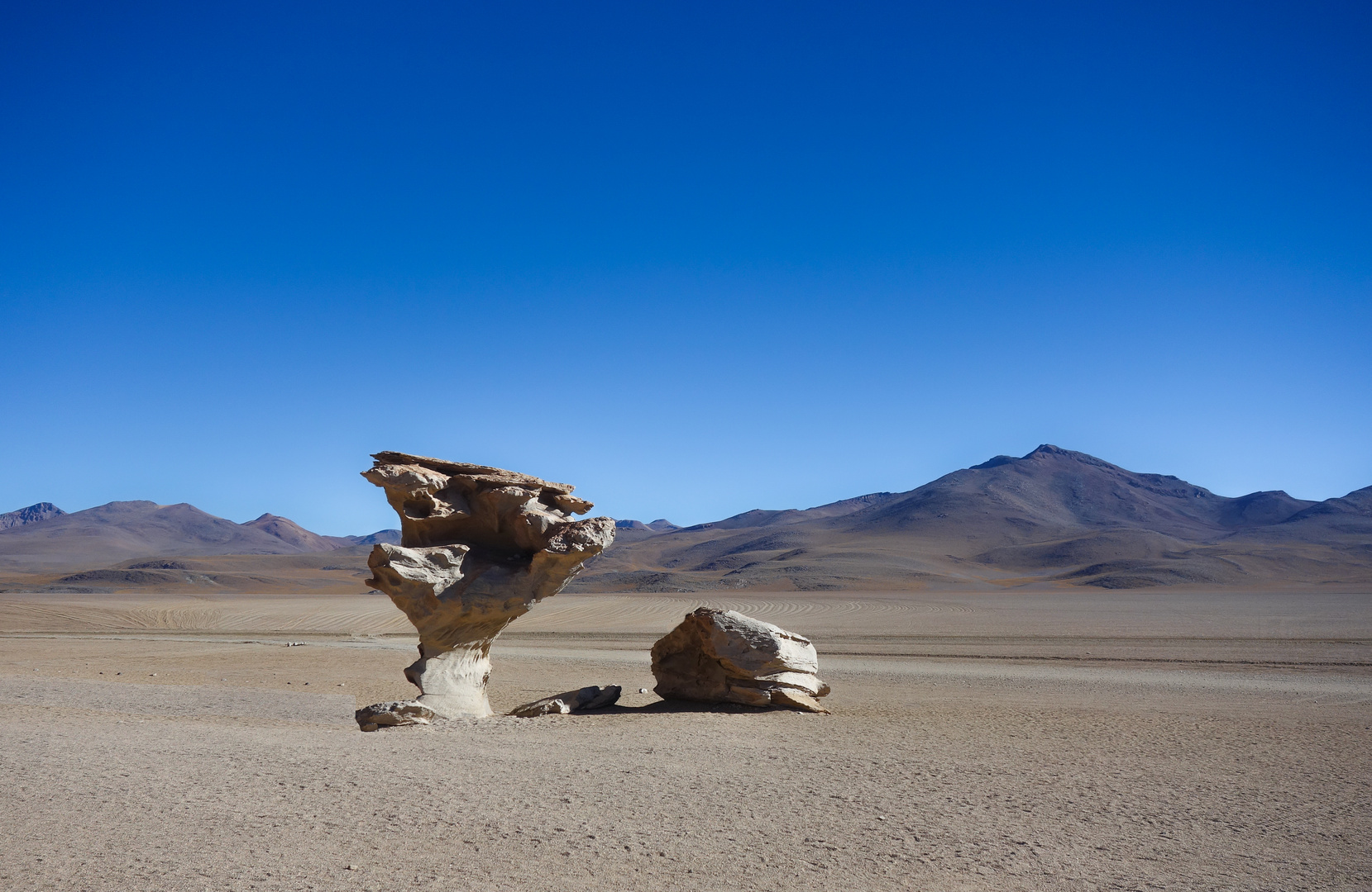 Steinerner Baum (Atacama Wüste)