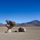 Steinerner Baum (Atacama Wüste)