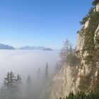 Steinerner Jäger Steig am Hochstaufen / Bad Reichenhall