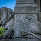 steinerner Löwe I - Neues Rathaus/Hannover