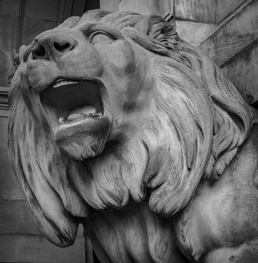 steinerner Löwe II - Neues Rathaus/Hannover