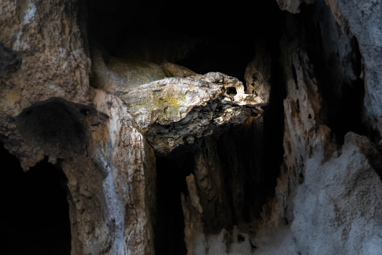 "steinerner Vogel" in der Ardeche-Schlucht