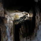 "steinerner Vogel" in der Ardeche-Schlucht