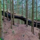 "Steinernes Tor" auf einem Wanderweg bei Tambach-Dietharz