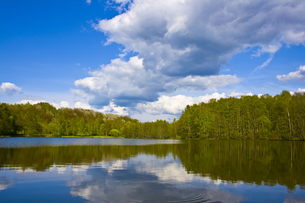 Steinertsee in Kaufungen