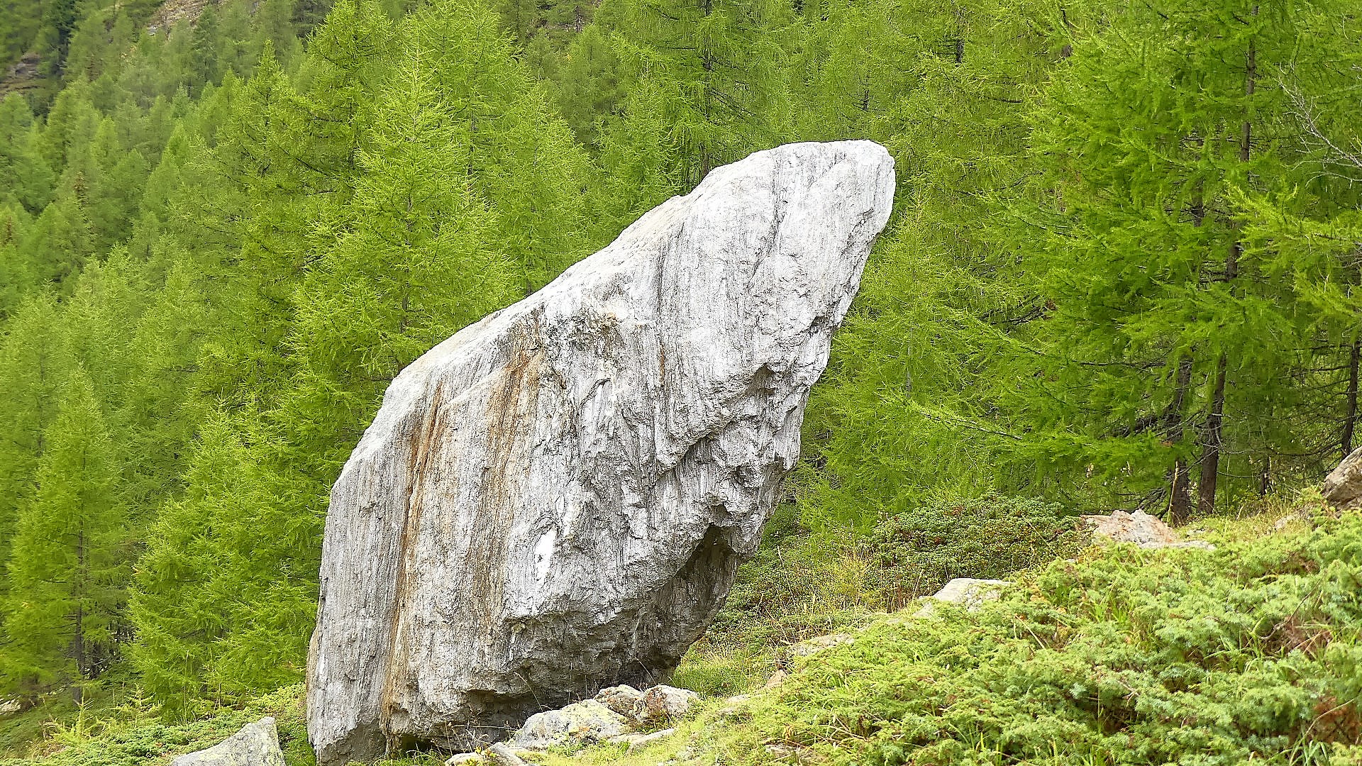 Steinewerfen