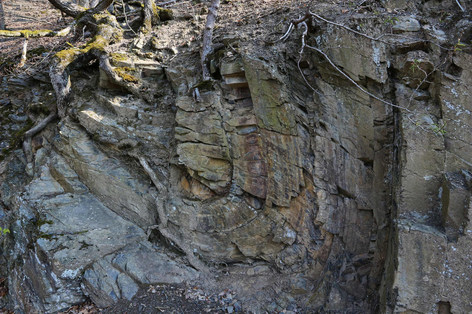 Steinfalte (2019_04_15_EOS 100D_4429_ji)