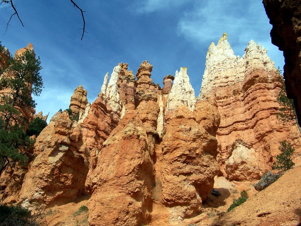 Steinformation im Bryce Canyon